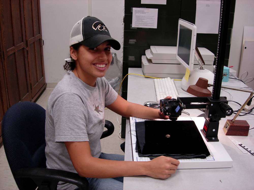 Undergraduate student Mary Bubb works on photographing type specimens