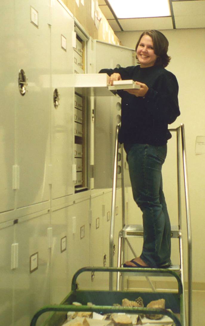 Graduate student Holly Schultz organizes specimens in the new cabinets. 