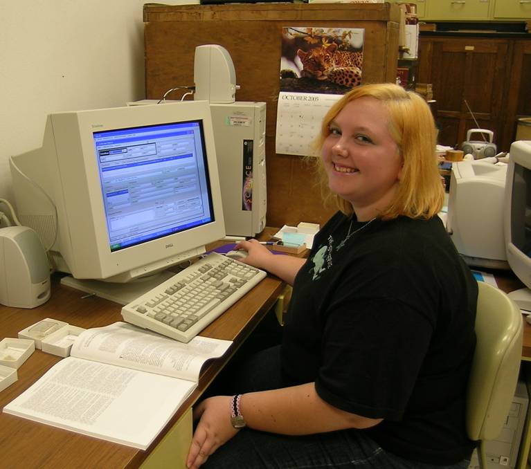 Undergraduate student Holly Berg enters type material information into the Specify database.