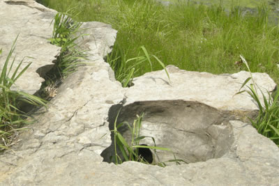 potholeandcoralzone12_1