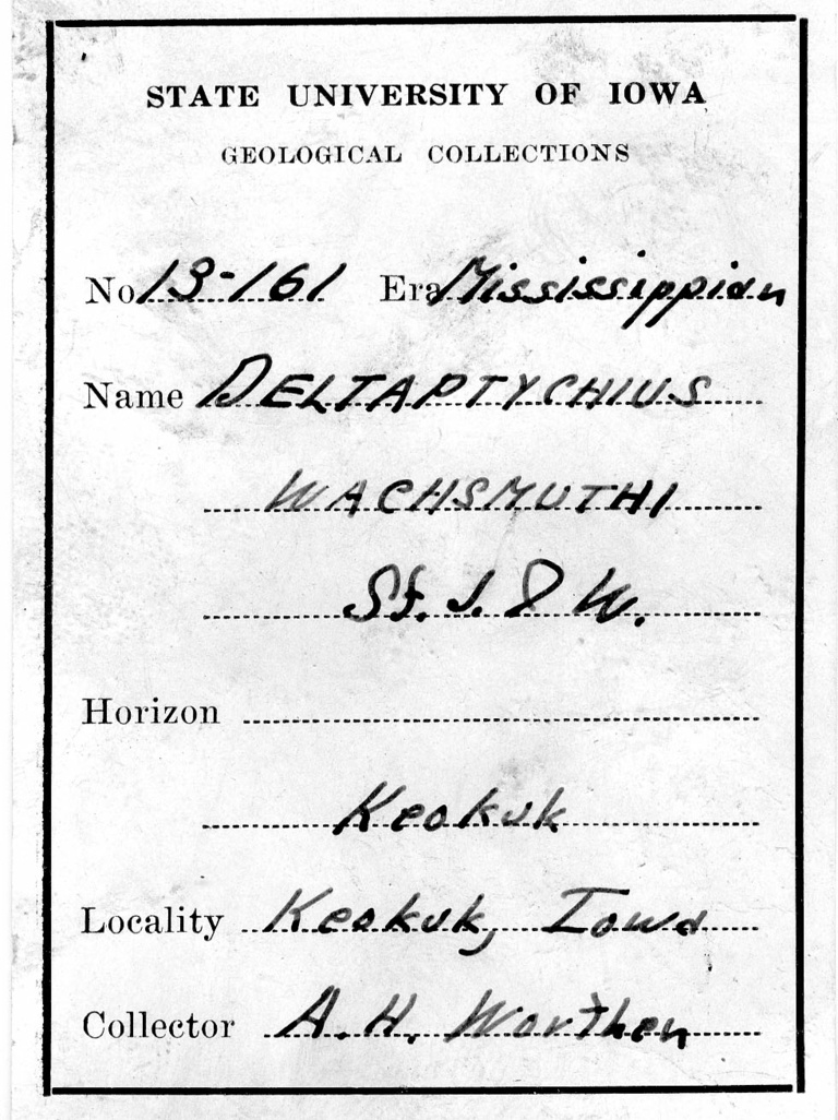 Amos Henry Worthen label