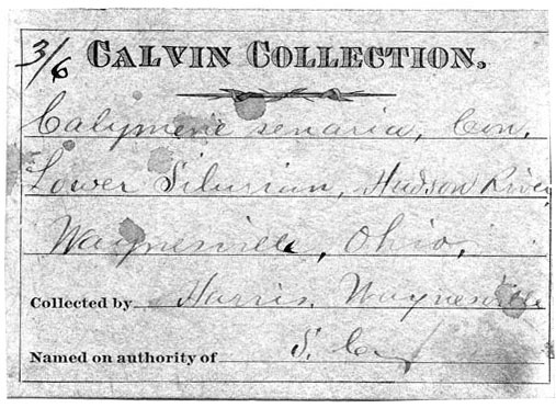 Israel Hopkins Harris (written by Calvin) label