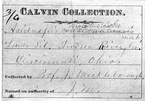 J. Mickelborough label
