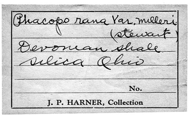 Joe P. Harner label