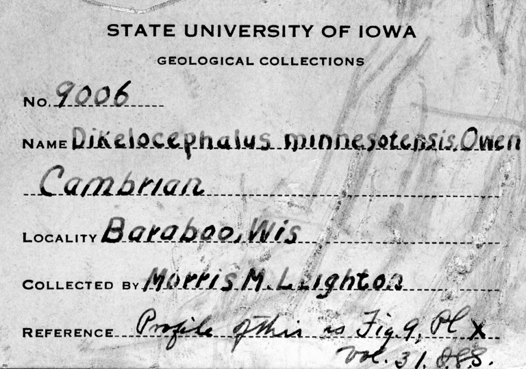 Morris M  Leighton label