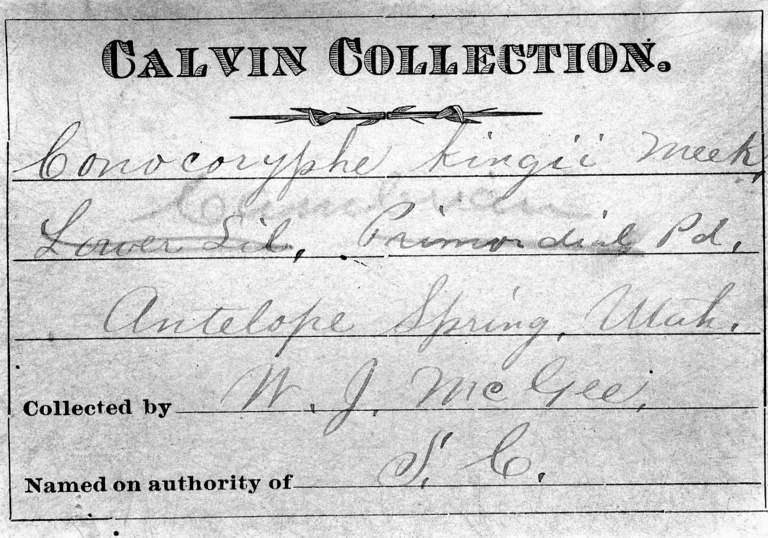 William John  McGee (Written by Calvin) label