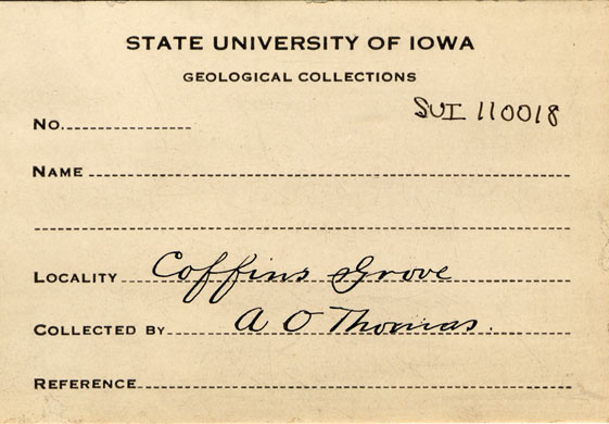 thomas label 3