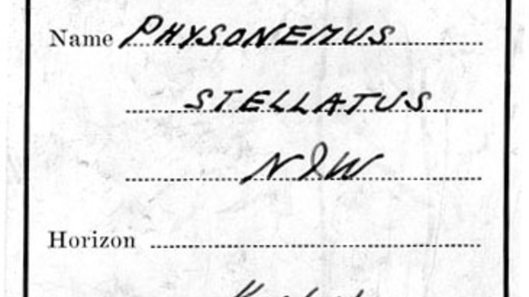 Charles A White label
