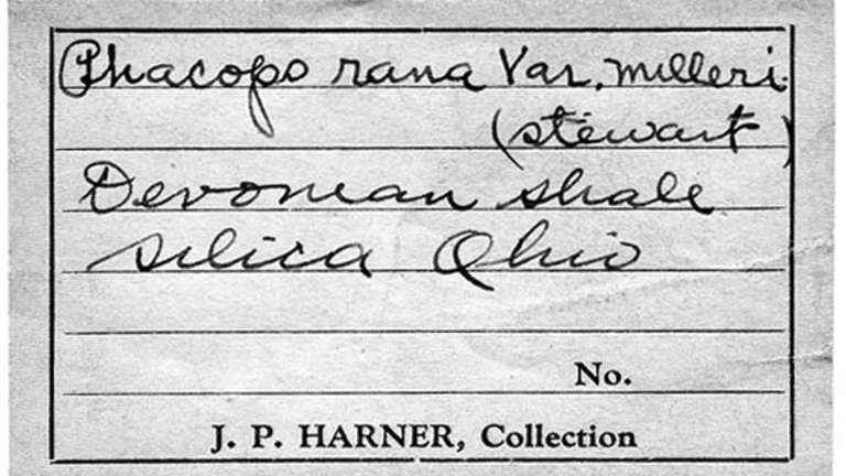 Joe P. Harner label