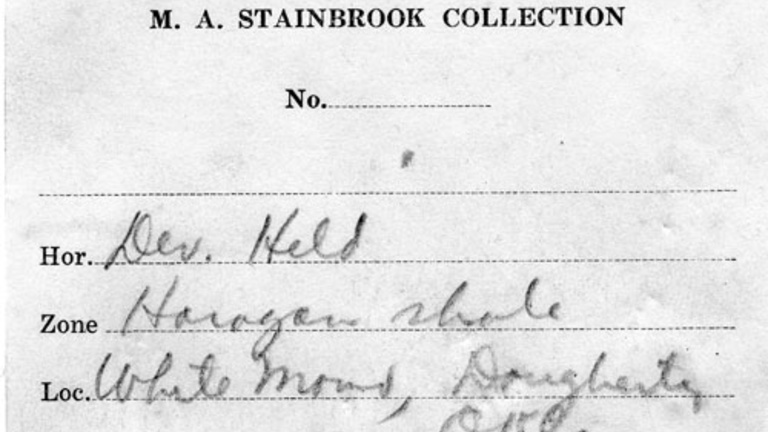 Stainbrook's written label